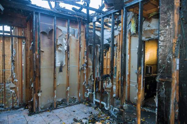 Professional Fire Damage Removal technician working in Pocahontas, IA